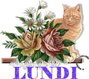 Gif animé Bon lundi chat